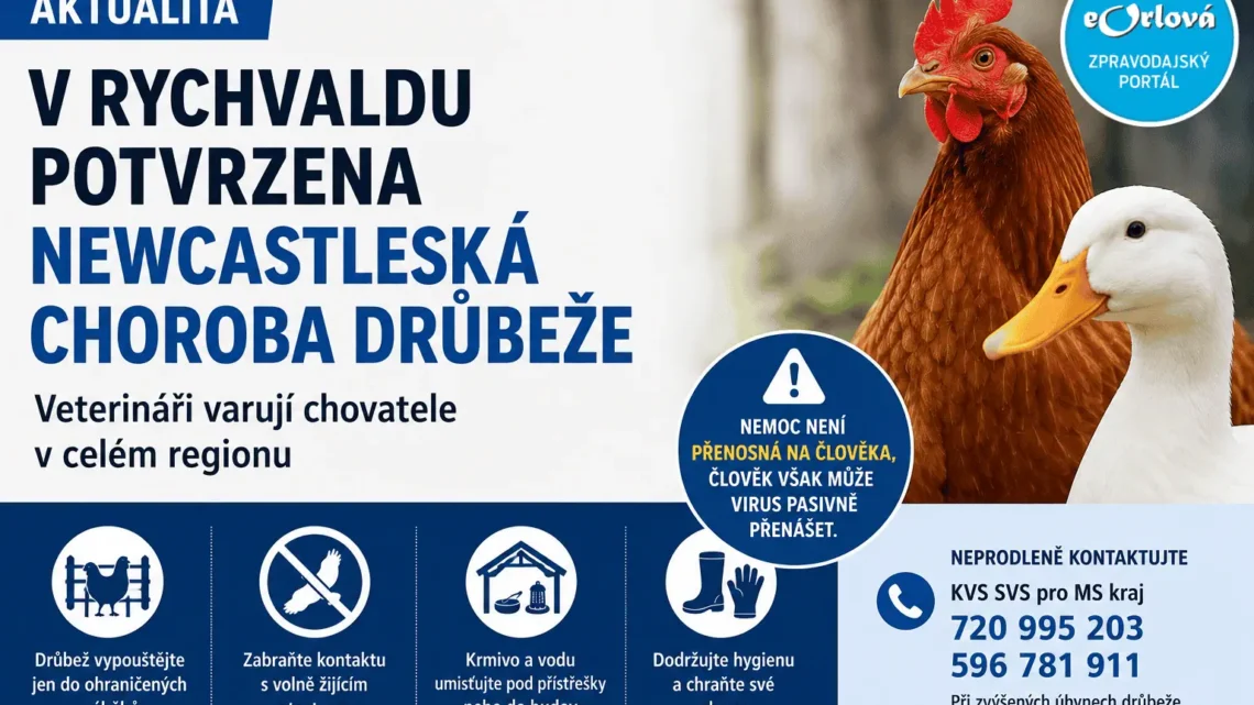 V Rychvaldu se objevila nebezpečná nákaza drůbeže. Veterináři vyzývají chovatele k opatrnosti
